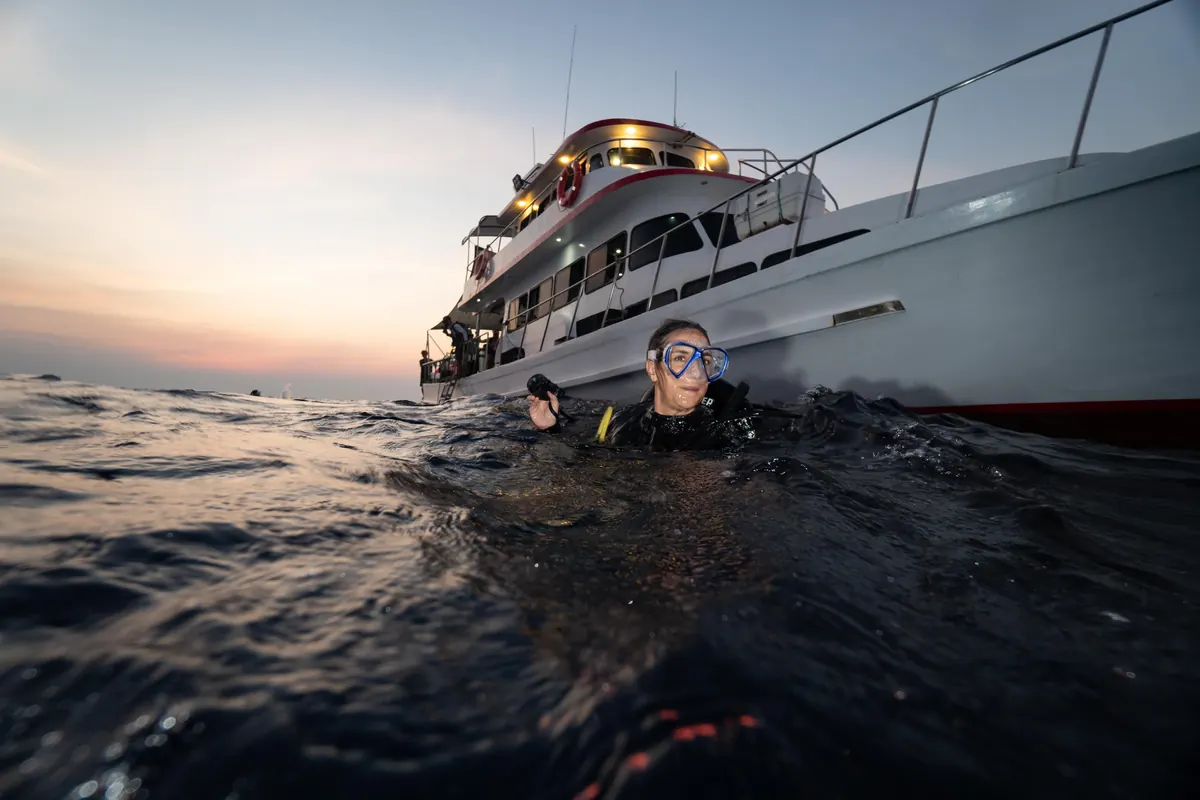 Night dive in Koh Lipe with torches