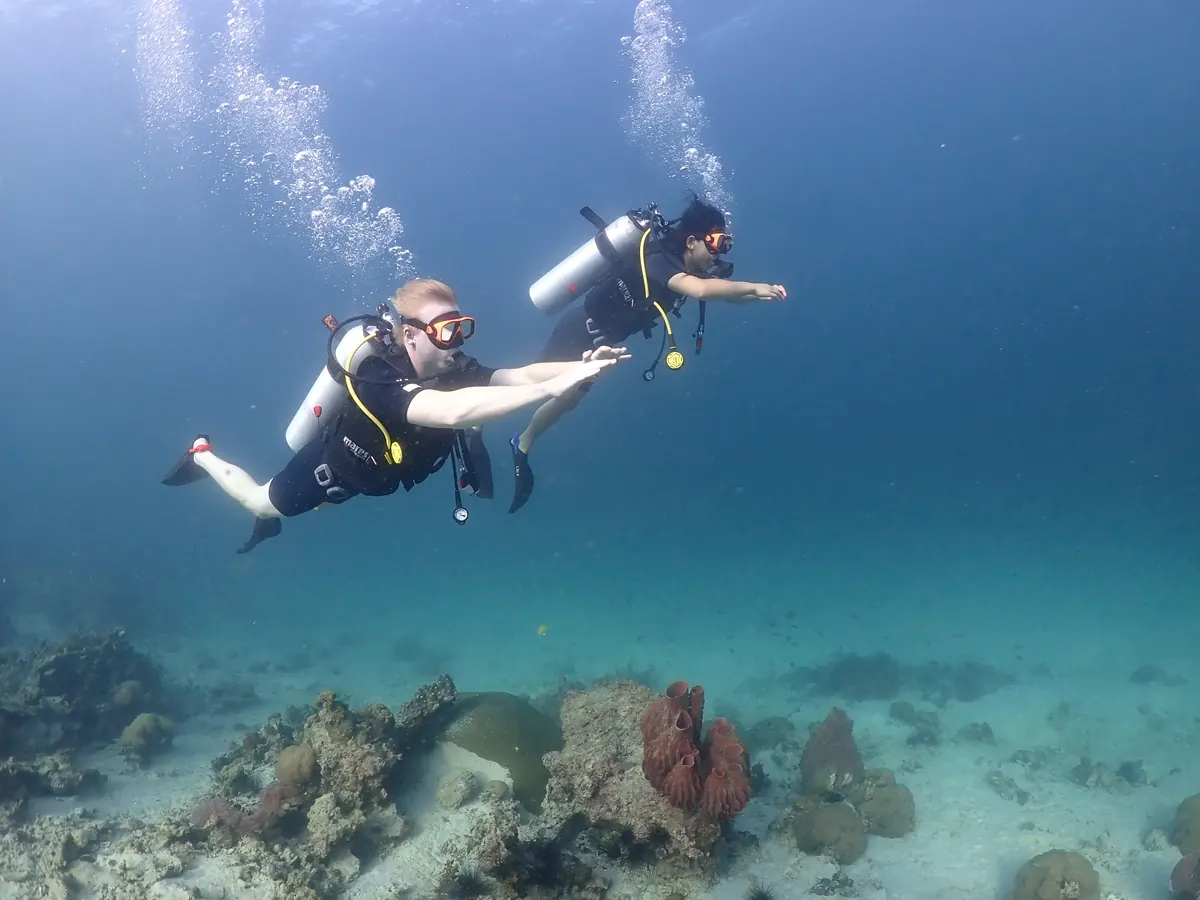 Advanced divers exploring the reef in Koh Lipe