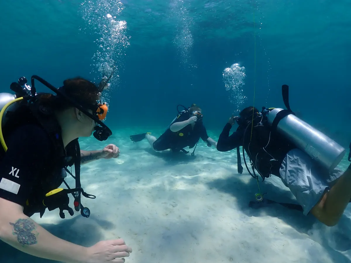 Instructor guiding try divers through their first skills on the sandy bottom