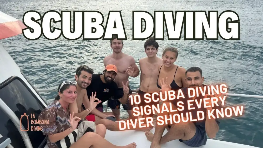 A scuba diver underwater off Koh Tao giving a clear hand signal to their buddy