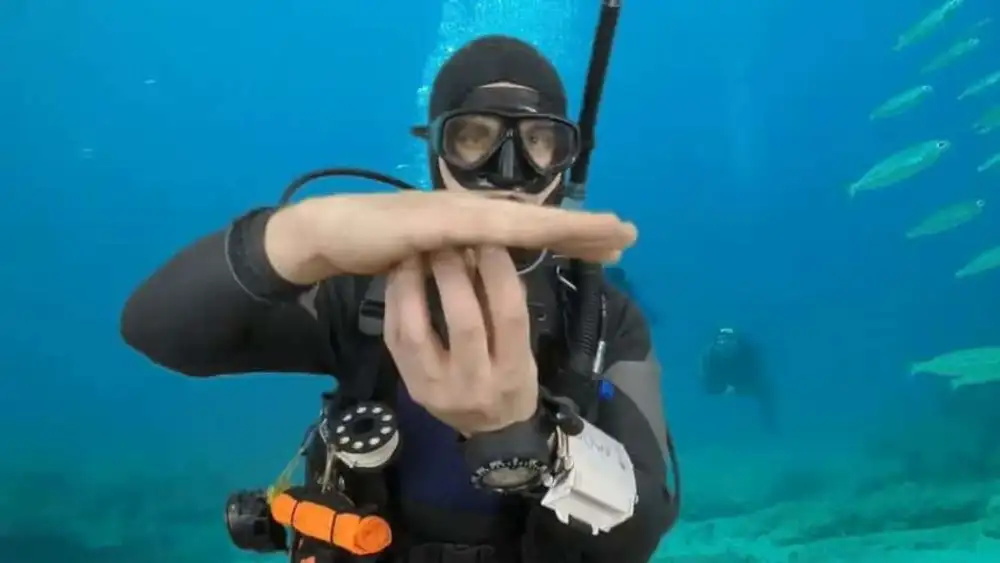 A diver underwater holding a flat hand with three fingers beneath it to signal a safety stop