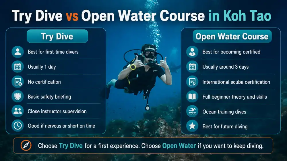 Infographic: Try Dive vs Open Water course in Koh Tao — what each option is for