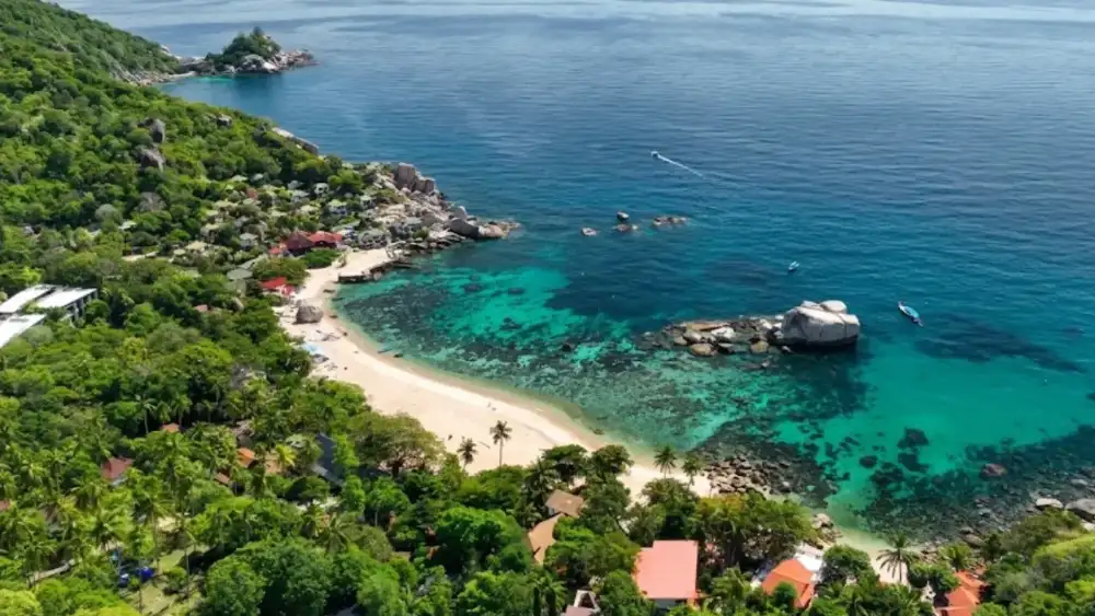 Tanote Bay on Koh Tao's east coast, a sandy beach with a large cliff-jumping boulder and coral gardens on both sides