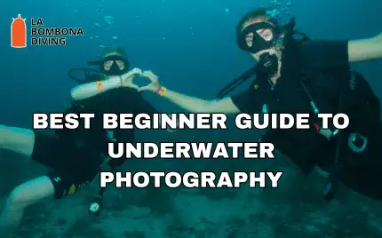 Two divers underwater making a heart shape with their hands, with the title "Best Beginner Guide to Underwater Photography"
