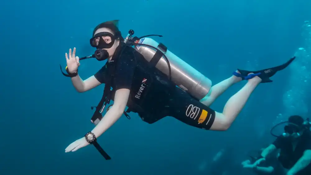Southwest Pinnacle dive site in Koh Tao — granite pinnacles covered in sea anemones with reef fish