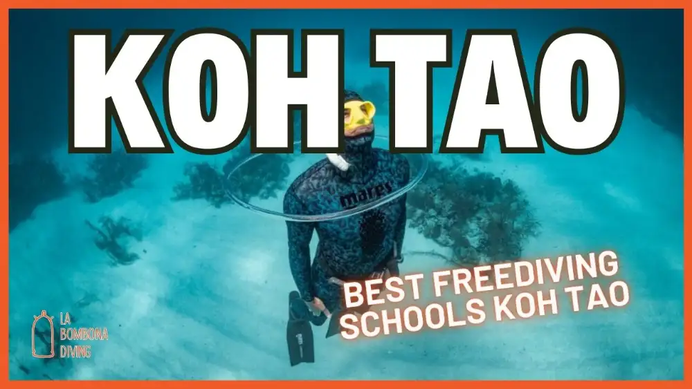Koh Tao — best freediving schools: a freediver in a camouflage wetsuit and yellow mask floating upright over a sandy seabed