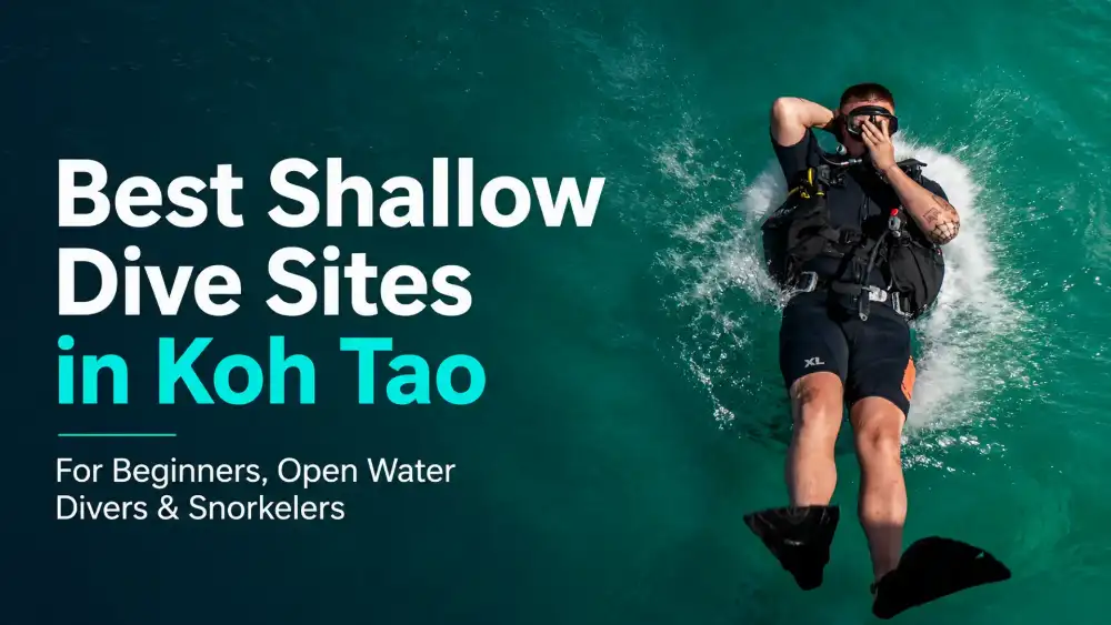 A diver in full scuba gear floating on his back in turquoise water off Koh Tao, with the title "Best Shallow Dive Sites in Koh Tao" overlaid