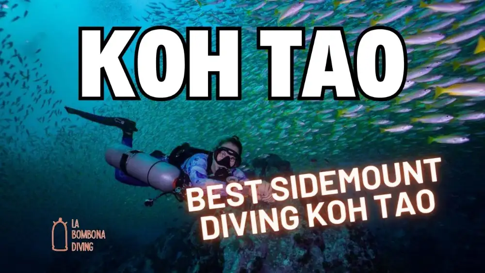 A sidemount diver in perfect horizontal trim with a tank clipped to each side, gliding over a Koh Tao reef