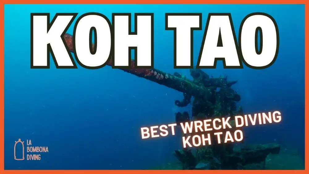 The deck gun of the HTMS Sattakut wreck in deep blue water off Koh Tao, with the caption "Koh Tao — Best Wreck Diving Koh Tao"