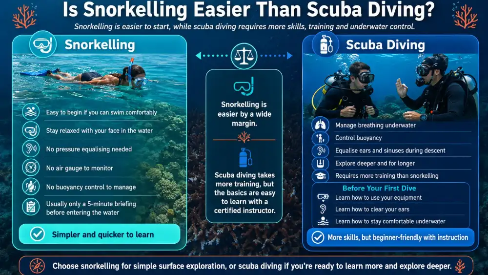 Illustrated graphic: is snorkelling easier than scuba diving? A snorkeller at the surface compared with a scuba diver below