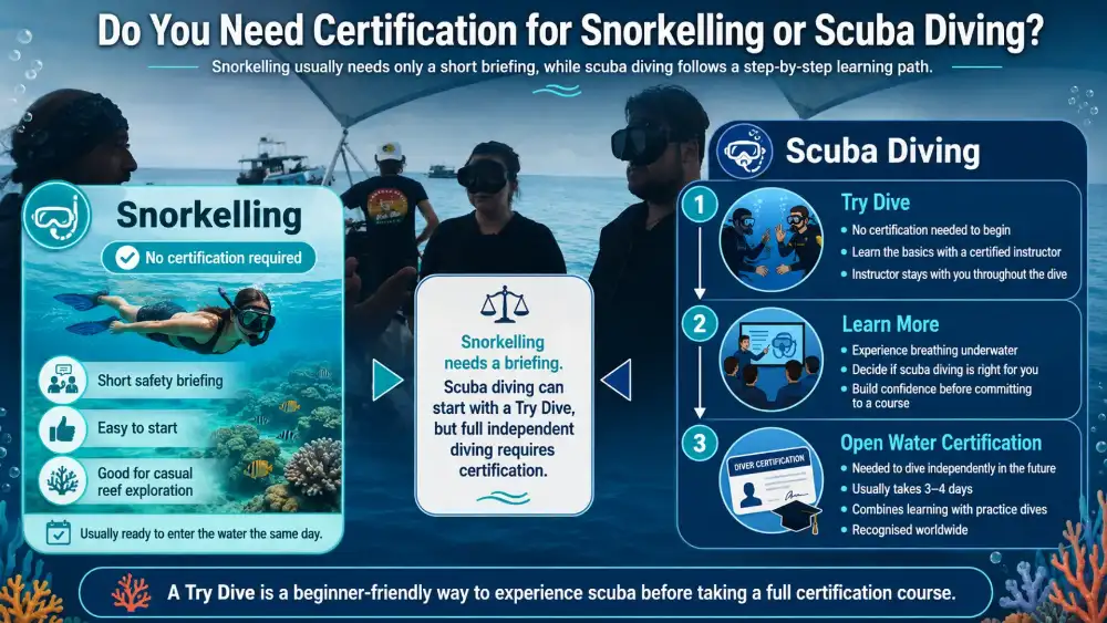 Illustrated graphic: do you need certification for snorkelling vs. scuba diving?