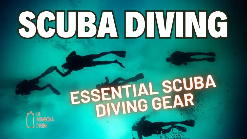 Essential scuba diving gear laid out — mask, fins, regulator, BCD and dive computer