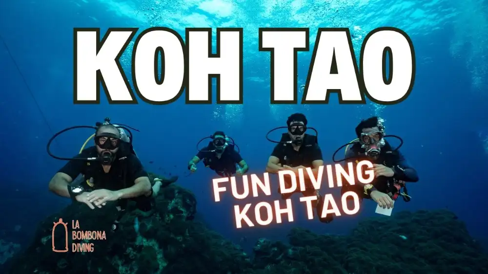 Certified divers on a fun dive exploring a coral reef in the clear blue water of Koh Tao