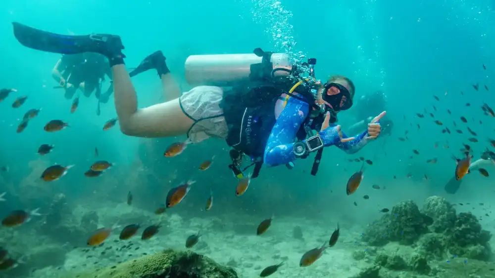 Certified divers on a fun dive over a reef in Koh Tao, Thailand