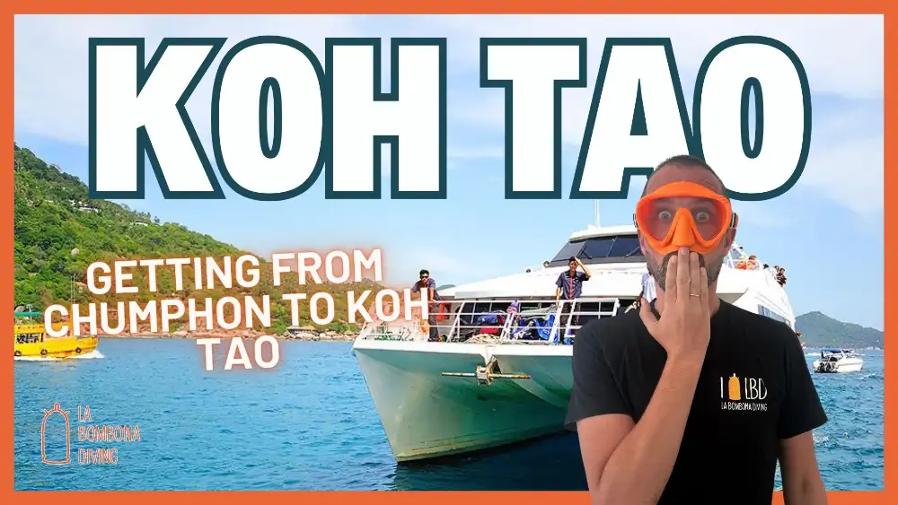 How to get to Koh Tao from Chumphon — a ferry approaching the island across the Gulf of Thailand