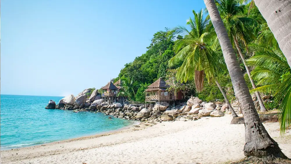 A quiet white-sand beach on Koh Tao with palm trees, granite boulders and wooden bungalows on stilts above the rocks, turquoise sea to the left