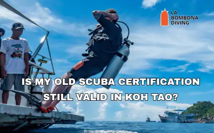 A diver holding up an old scuba certification card on a dive boat in Koh Tao