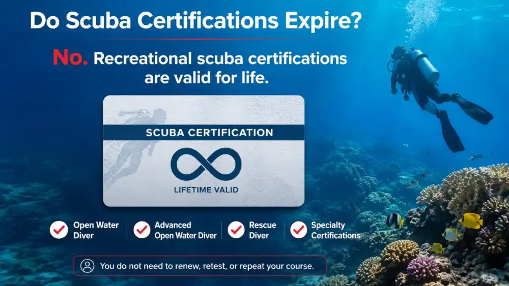 A scuba certification card held up against the sea — recreational certifications have no expiry date