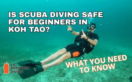 A beginner diver descending in clear blue water off Koh Tao with an instructor close by