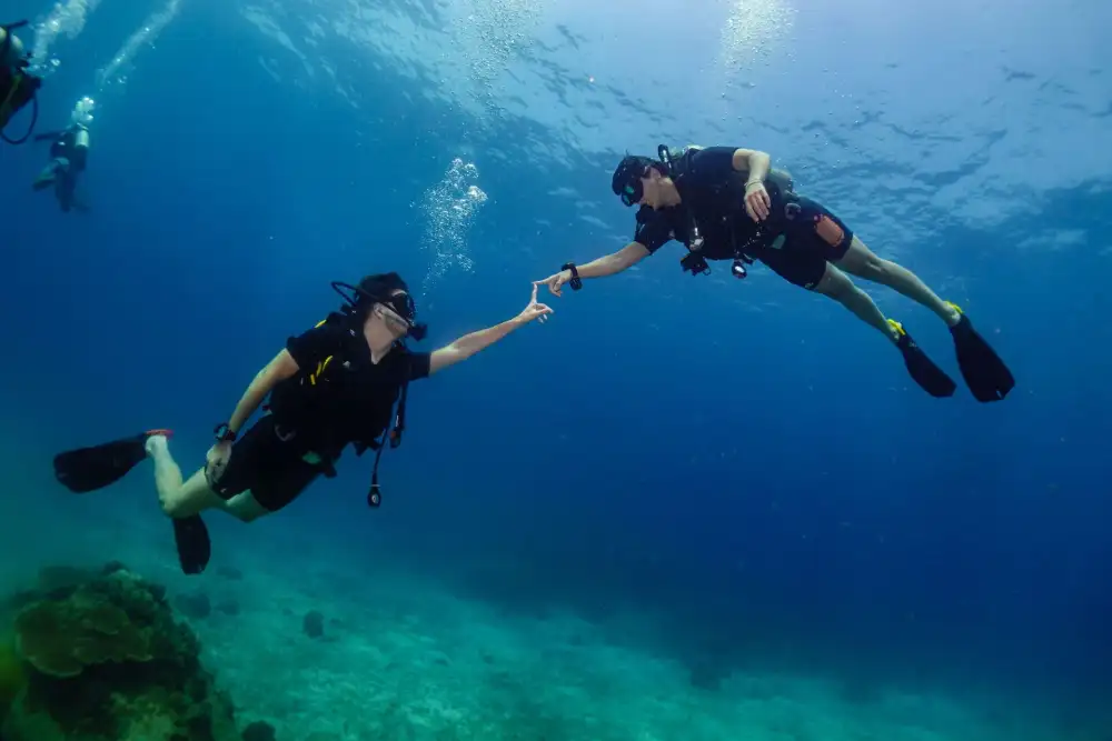 A scuba diver descending calmly through clear blue water off Koh Tao, sunlight filtering down from the surface