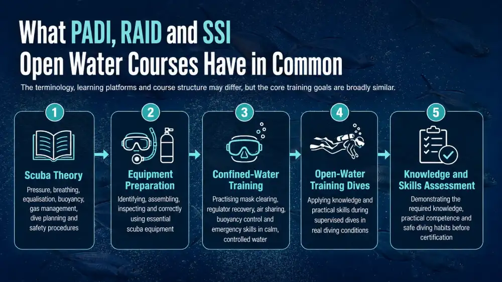 Infographic: what the PADI, RAID and SSI Open Water courses have in common — theory, equipment, confined water, open water and assessment