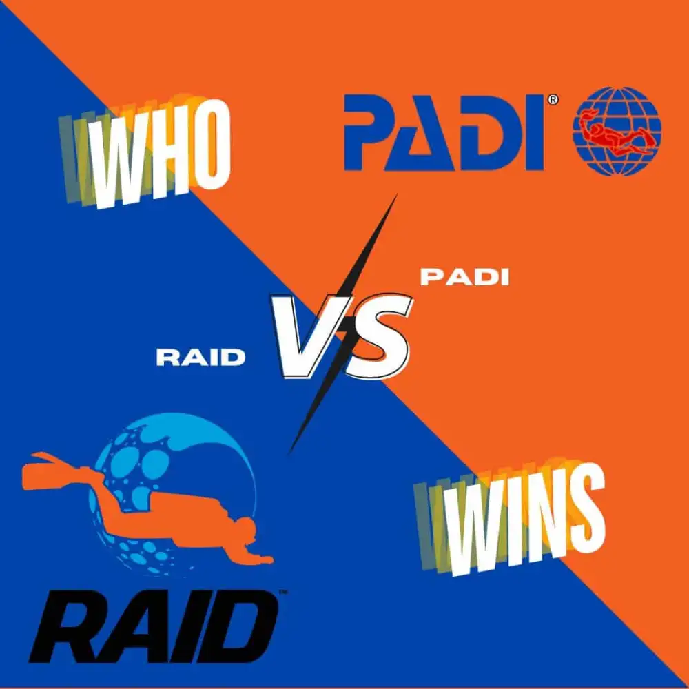 Blue and orange graphic reading 'Who wins? RAID vs PADI' with the RAID and PADI logos