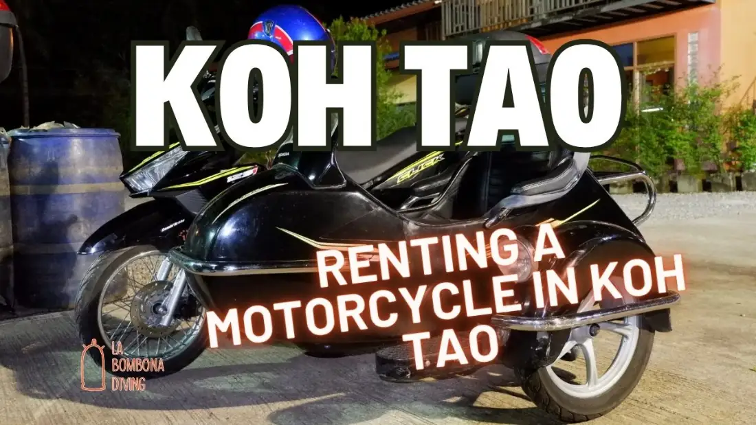 Koh Tao motorcycle rental title card over a black scooter with a helmet parked outside a shop at night
