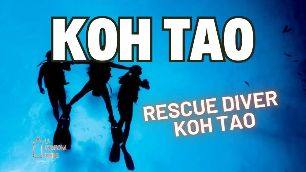 Divers practising a rescue scenario at the surface during Rescue Diver training in Koh Tao