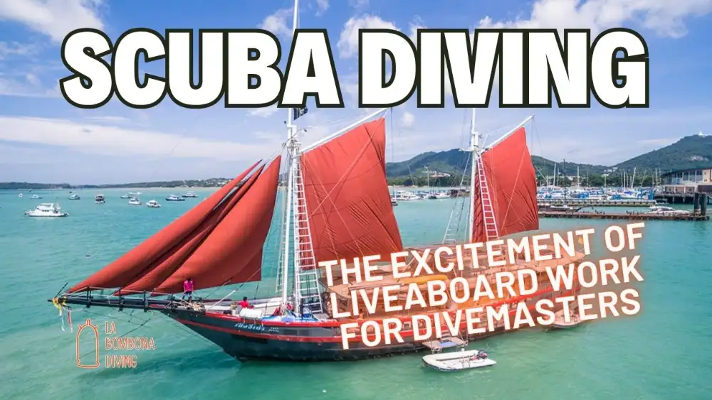 A divemaster on the deck of a liveaboard dive boat at sea, dive gear set up and ready for the next dive