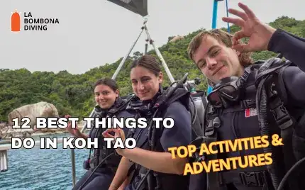 Turquoise water, longtail boats and green hills on Koh Tao — the setting for the island's best activities