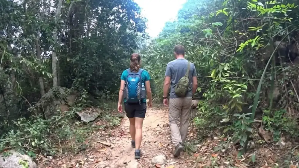 A jungle hiking trail on Koh Tao opening onto a view of the rocky Laem Thian coastline
