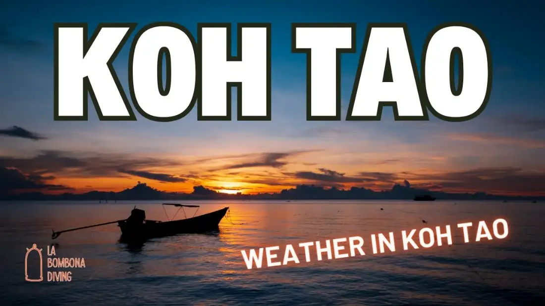A longtail boat silhouetted against an orange sunset over calm sea at Koh Tao, with the caption "Weather in Koh Tao"